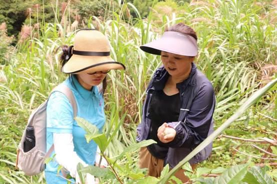 微信图片_20250630014257